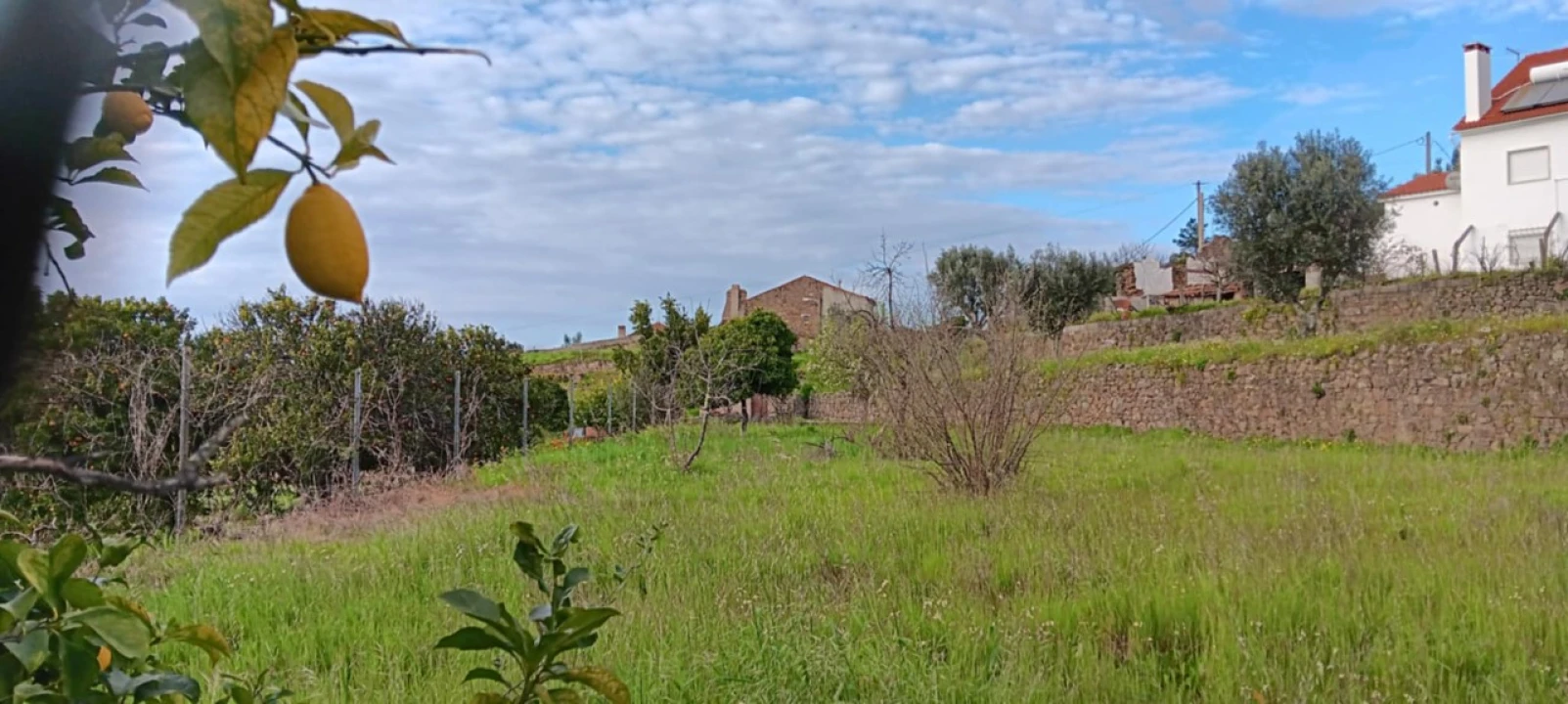 Terreno para Venda em Mação, Penhascoso e Aboboreira Foto 17