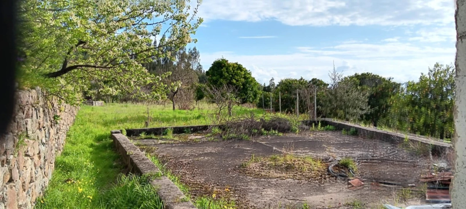 Terreno para Venda em Mação, Penhascoso e Aboboreira Foto 18
