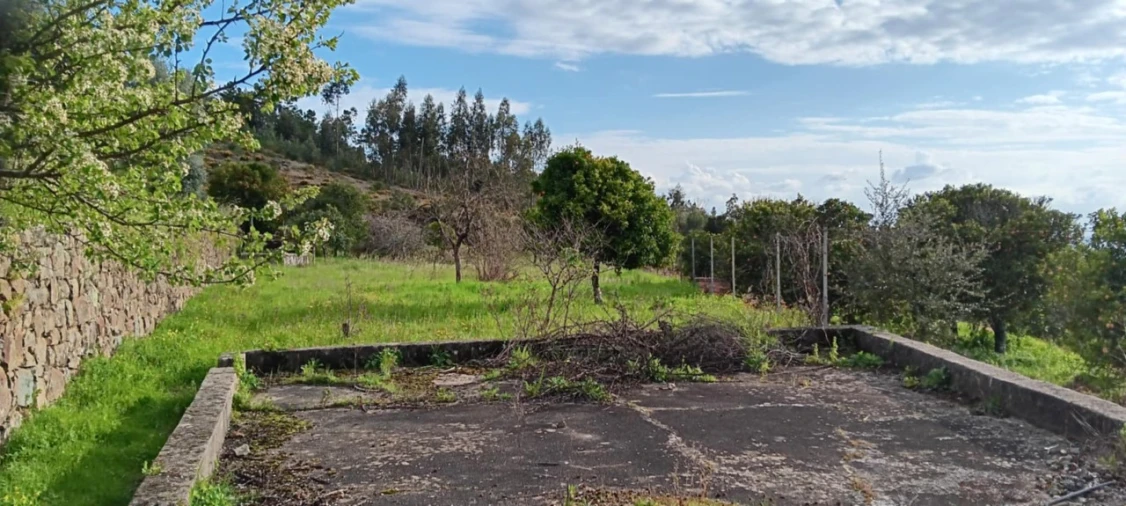 Terreno para Venda em Mação, Penhascoso e Aboboreira Foto 1