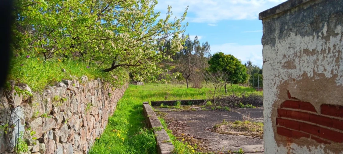Terreno para Venda em Mação, Penhascoso e Aboboreira Foto 4