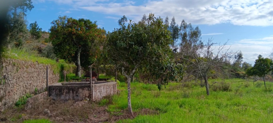 Terreno para Venda em Mação, Penhascoso e Aboboreira Foto 7