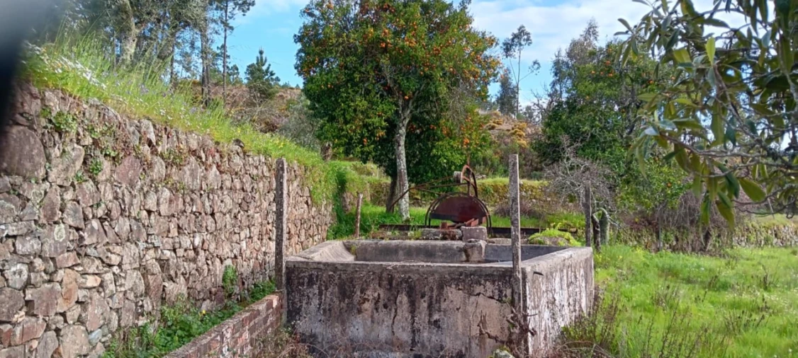 Terreno para Venda em Mação, Penhascoso e Aboboreira Foto 8