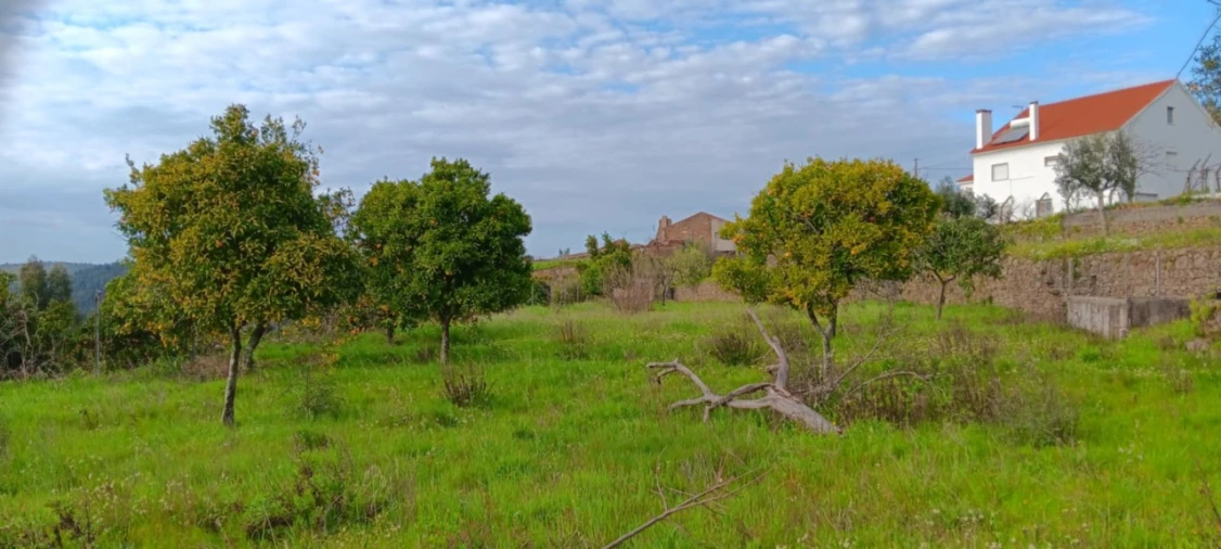 Terreno para Venda em Mação, Penhascoso e Aboboreira Foto 12