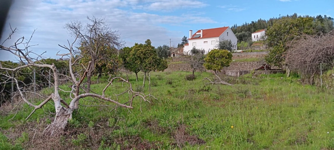Terreno para Venda em Mação, Penhascoso e Aboboreira Foto 14
