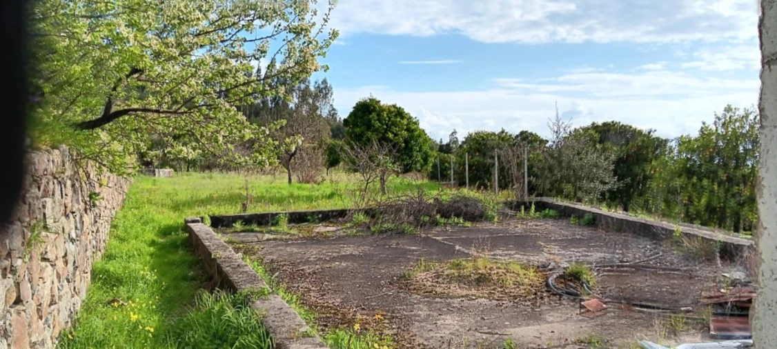 Terreno para Venda em Mação, Penhascoso e Aboboreira Foto 18