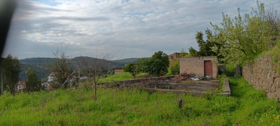 Terreno para Venda em Mação, Penhascoso e Aboboreira Foto 19