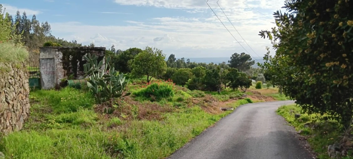 Terreno para Venda em Mação, Penhascoso e Aboboreira Foto 22
