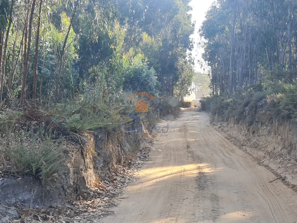 Terreno Agricola ou Rústico para Venda em Silveira Foto 1