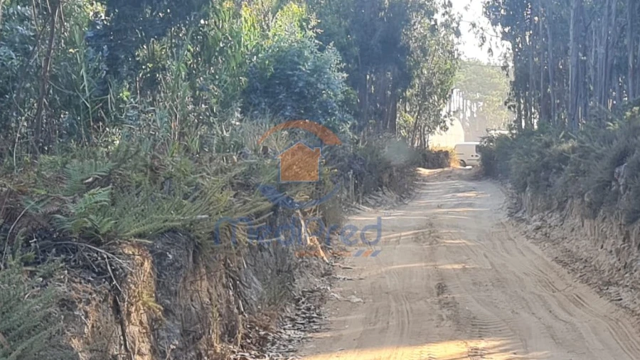 Terreno Agricola ou Rústico para Venda em Silveira