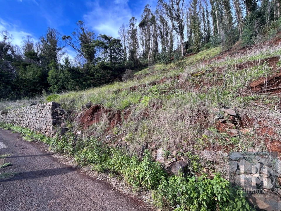 Terreno para Venda em Porto Moniz Foto 3