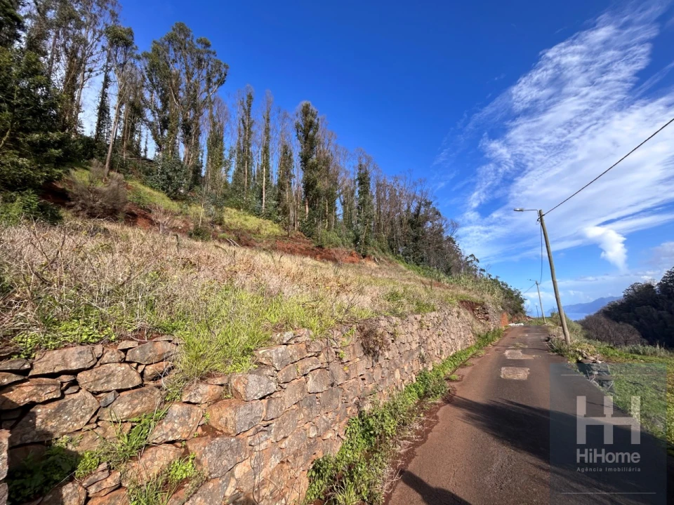 Terreno para Venda em Porto Moniz Foto 5
