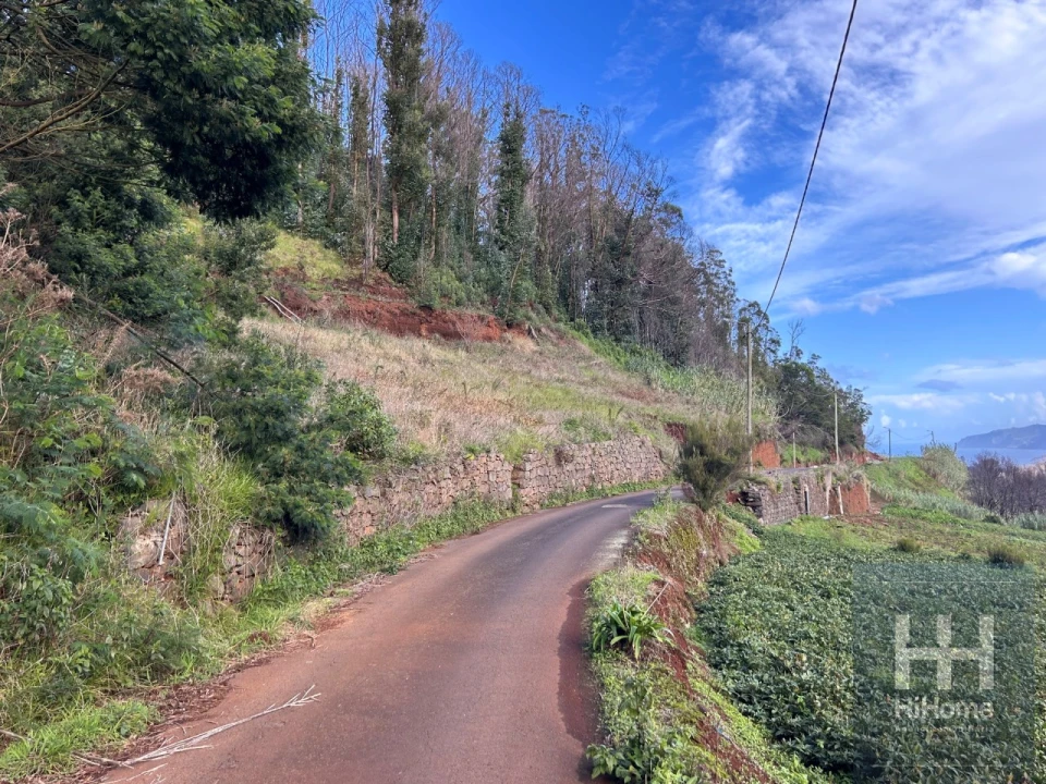 Terreno para Venda em Porto Moniz Foto 6