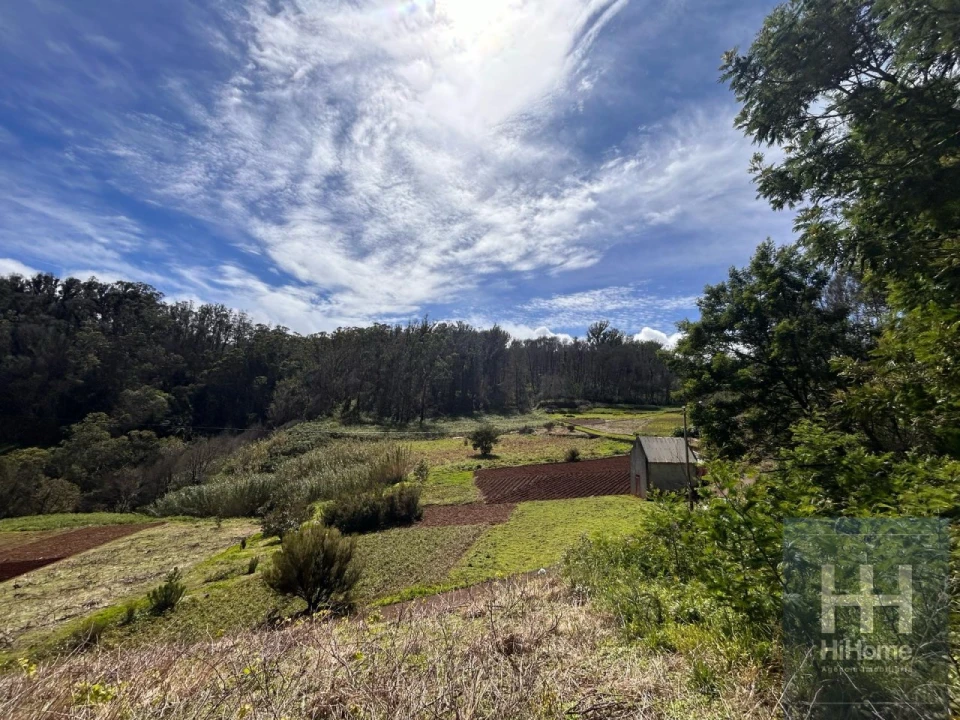 Terreno para Venda em Porto Moniz Foto 8