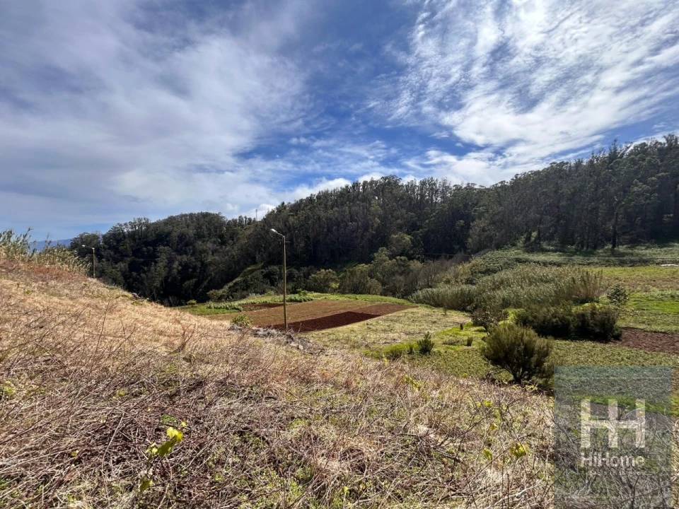 Terreno para Venda em Porto Moniz Foto 9