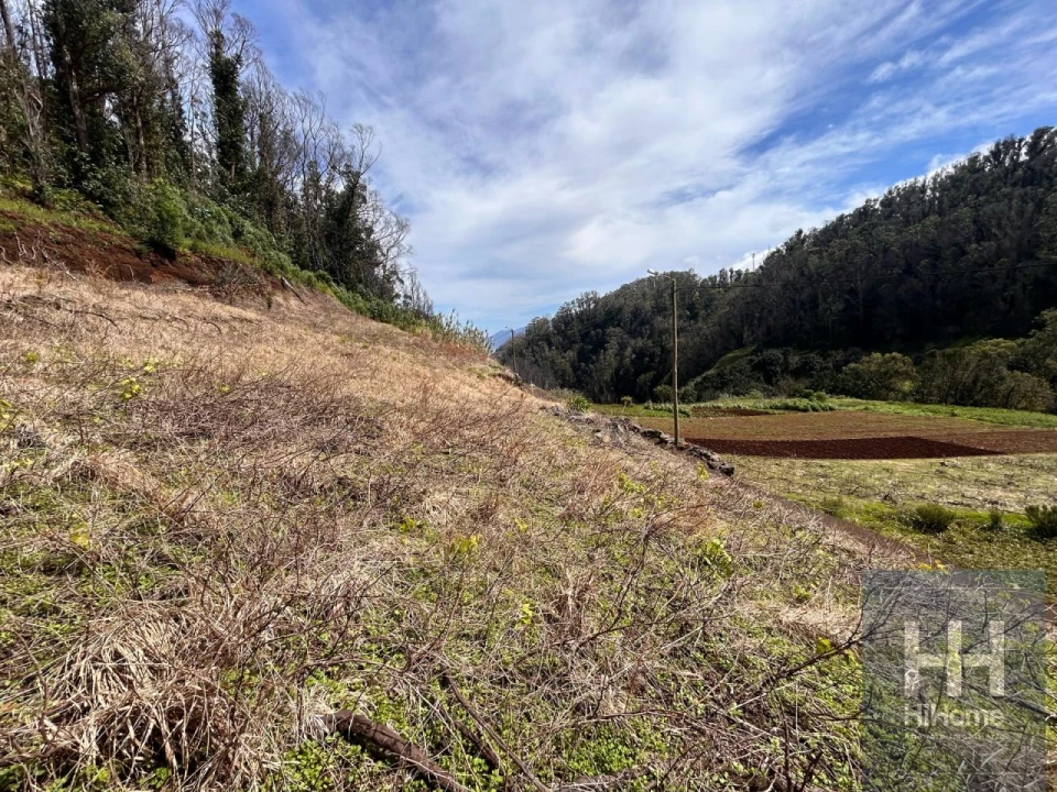 Terreno para Venda em Porto Moniz Foto 12