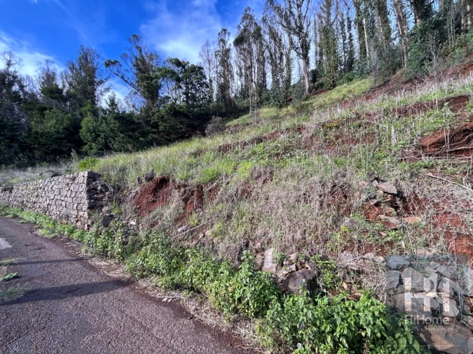 Terreno para Venda em Porto Moniz Foto 3