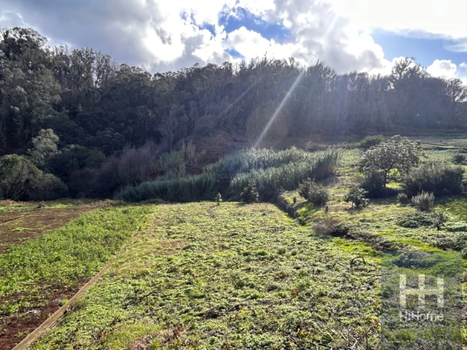 Terreno para Venda em Porto Moniz Foto 4