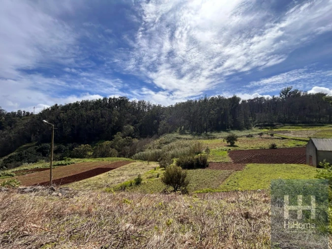 Terreno para Venda em Porto Moniz Foto 7