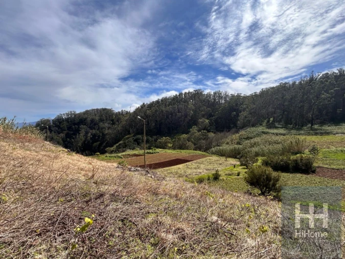 Terreno para Venda em Porto Moniz Foto 9