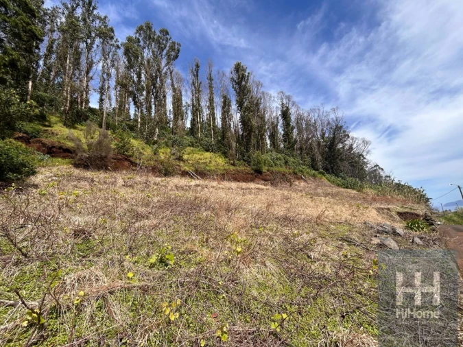 Terreno para Venda em Porto Moniz Foto 10