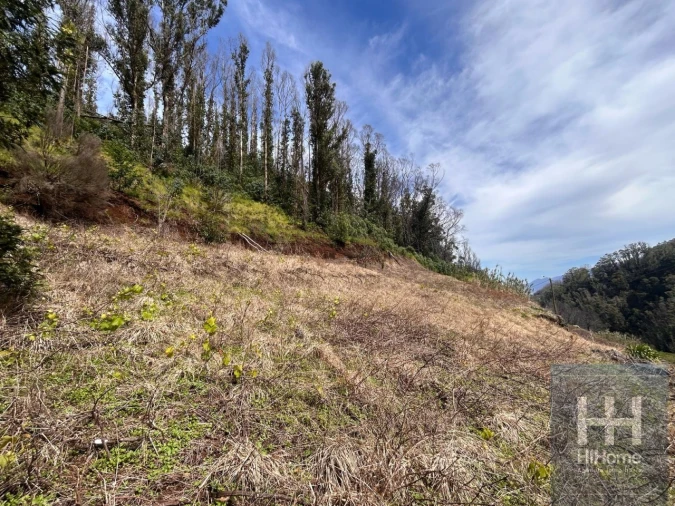 Terreno para Venda em Porto Moniz Foto 11