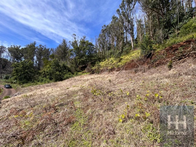 Terreno para Venda em Porto Moniz Foto 13