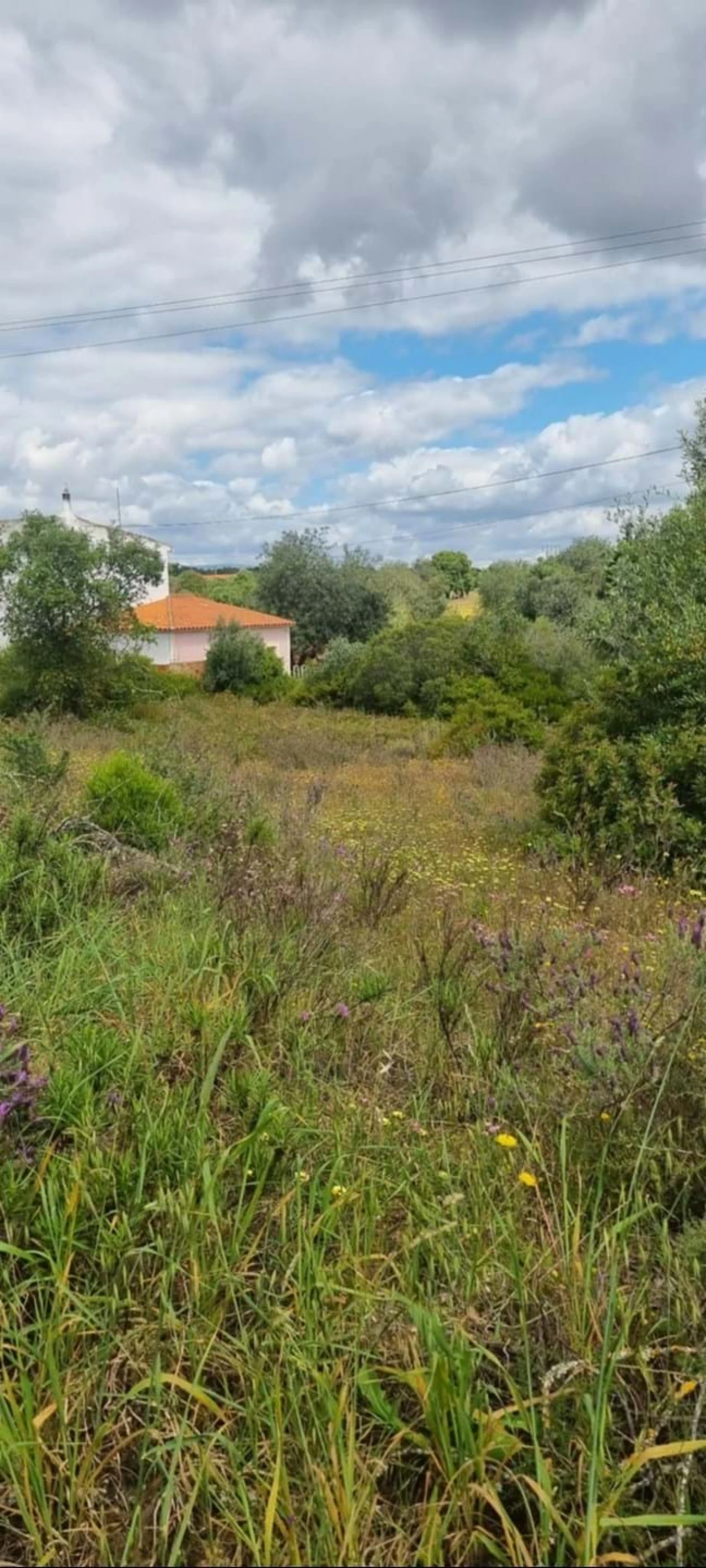 Terreno para Venda em Silves Foto 4