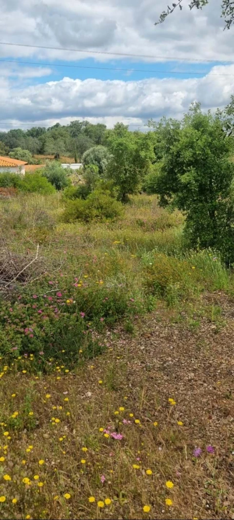 Terreno para Venda em Silves