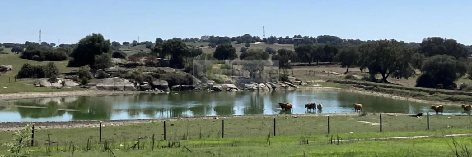Quinta T1 para Venda em Nossa Senhora da Tourega e Nossa Senhora de Guadalupe Foto 14