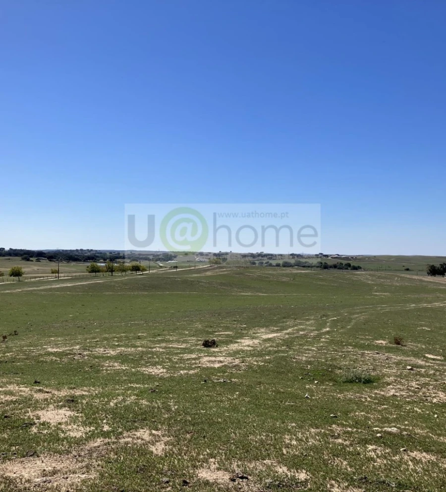 Quinta T1 para Venda em Nossa Senhora da Tourega e Nossa Senhora de Guadalupe Foto 2