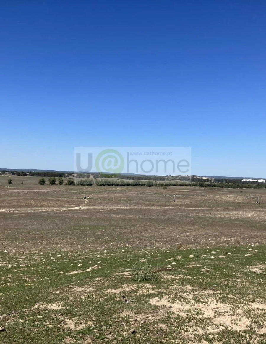 Quinta T1 para Venda em Nossa Senhora da Tourega e Nossa Senhora de Guadalupe Foto 7