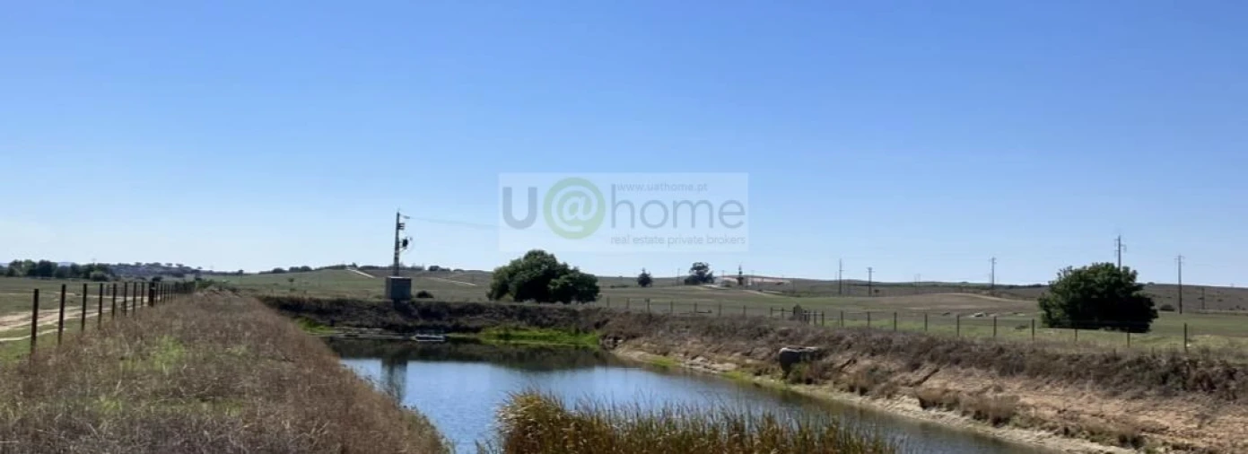 Quinta T1 para Venda em Nossa Senhora da Tourega e Nossa Senhora de Guadalupe Foto 9