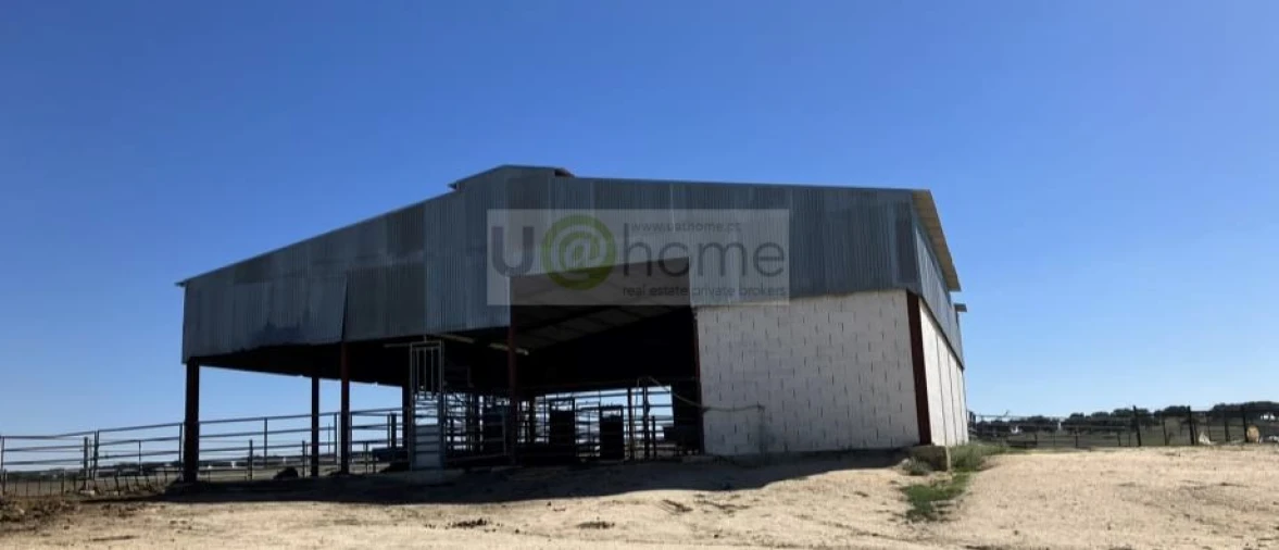 Quinta T1 para Venda em Nossa Senhora da Tourega e Nossa Senhora de Guadalupe Foto 12