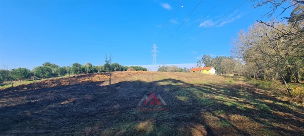 Terreno para Venda em Maceira