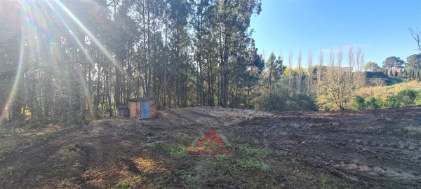 Terreno para Venda em Maceira