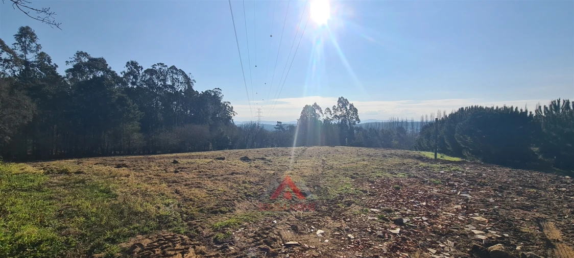 Terreno para Venda em Maceira Foto 2