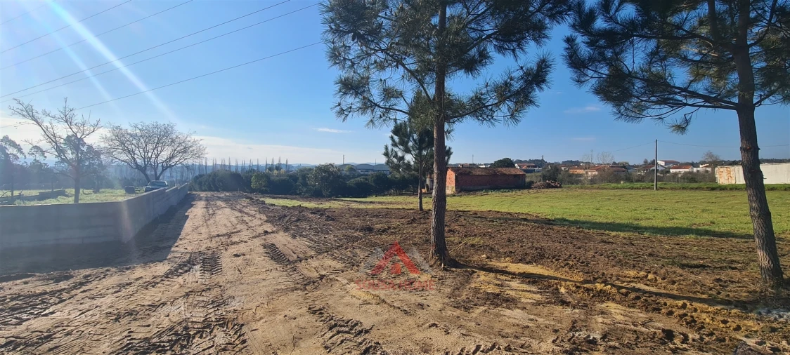 Terreno para Venda em Maceira Foto 7
