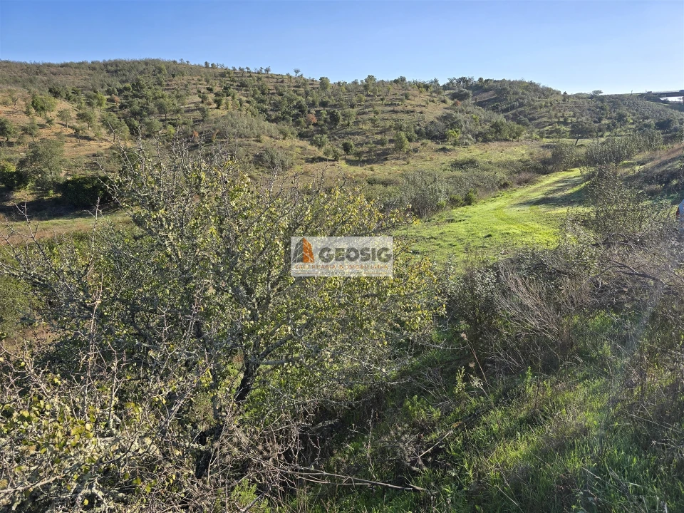 Quinta T0 para Venda em Santa Clara-A-Nova e Gomes Aires Foto 6