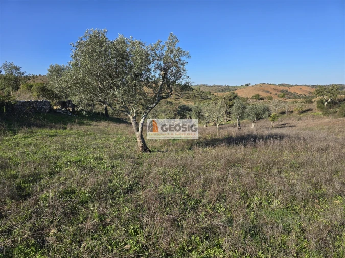 Quinta T0 para Venda em Santa Clara-A-Nova e Gomes Aires Foto 9