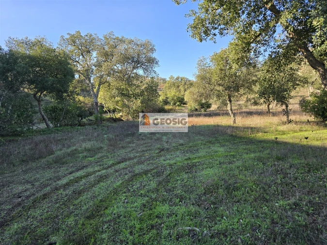 Quinta T0 para Venda em Santa Clara-A-Nova e Gomes Aires Foto 14