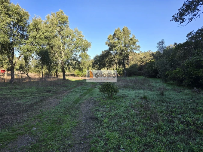 Quinta T0 para Venda em Santa Clara-A-Nova e Gomes Aires Foto 12