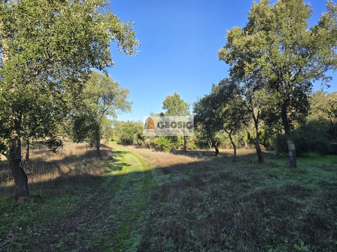 Quinta T0 para Venda em Santa Clara-A-Nova e Gomes Aires Foto 13