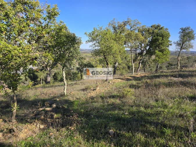 Quinta T0 para Venda em Santa Clara-A-Nova e Gomes Aires Foto 11