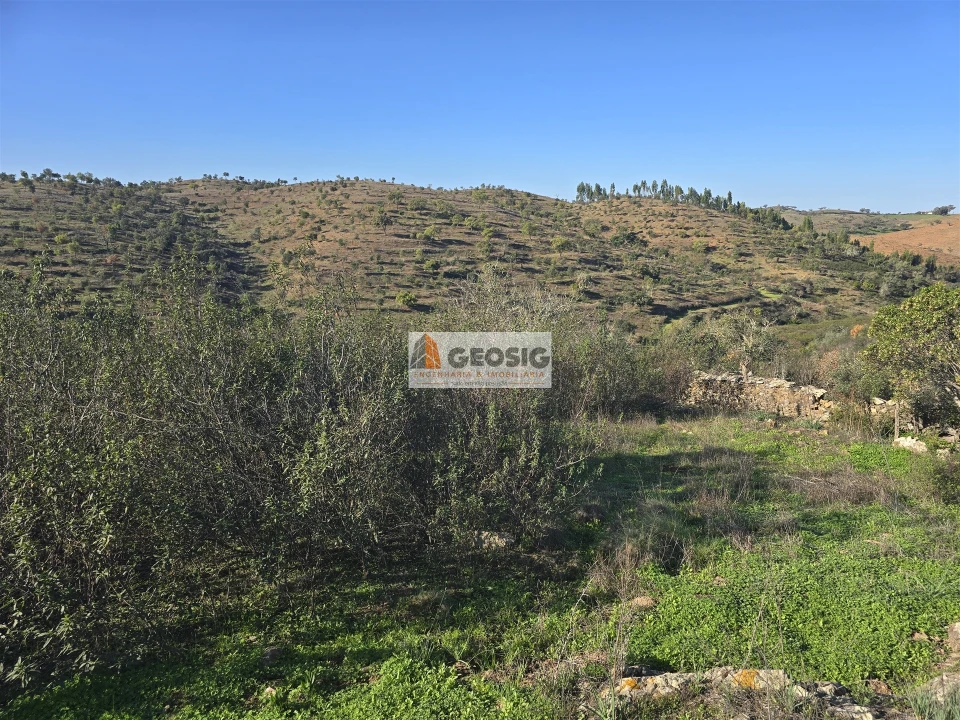 Quinta T0 para Venda em Santa Clara-A-Nova e Gomes Aires Foto 7