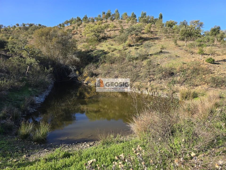 Quinta T0 para Venda em Santa Clara-A-Nova e Gomes Aires Foto 8