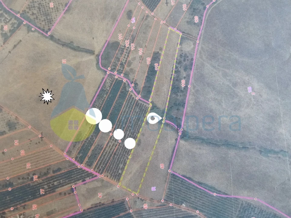 Terreno Agricola ou Rústico para Venda em Alcantarilha e Pêra Foto 3