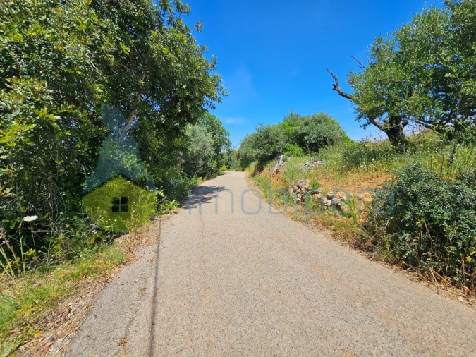 Terreno Agricola ou Rústico para Venda em Alcantarilha e Pêra Foto 2