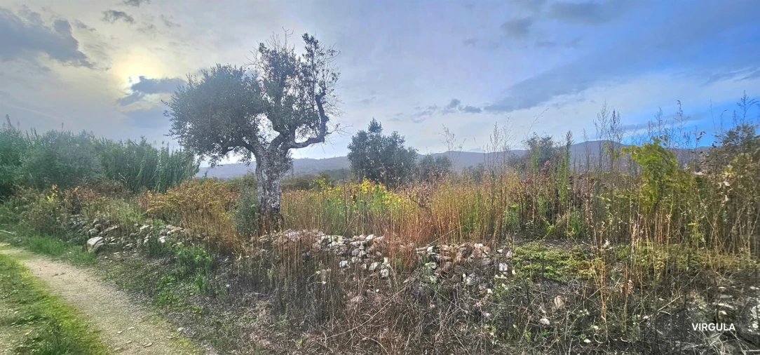 Terreno Agricola ou Rústico para Venda em Vale Formoso e Aldeia do Souto Foto 8