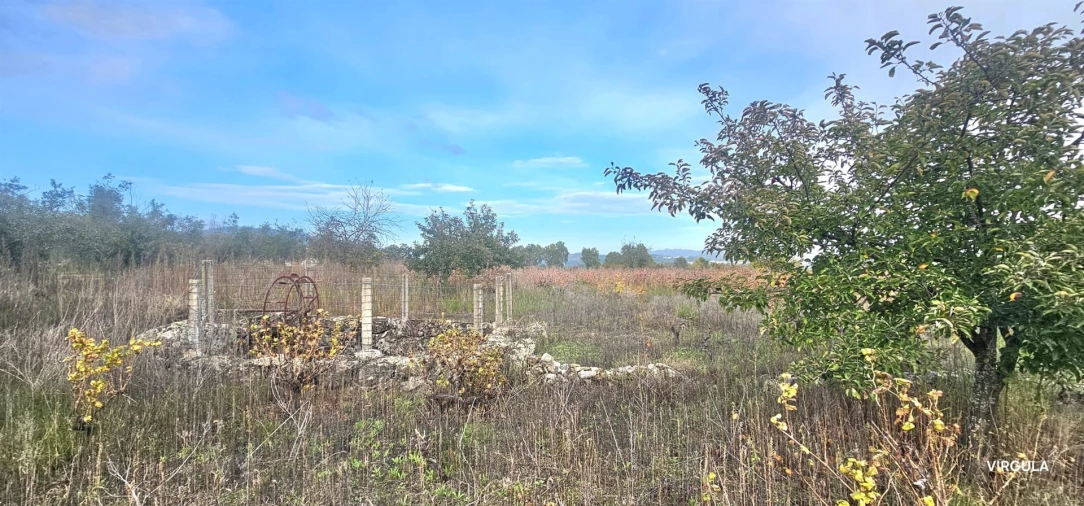 Terreno Agricola ou Rústico para Venda em Vale Formoso e Aldeia do Souto Foto 5