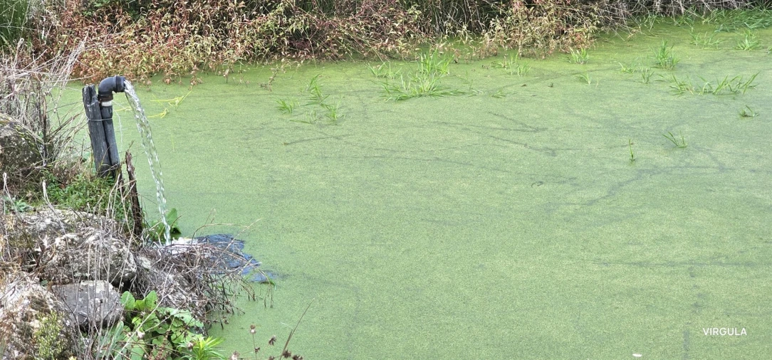 Terreno Agricola ou Rústico para Venda em Vale Formoso e Aldeia do Souto Foto 3